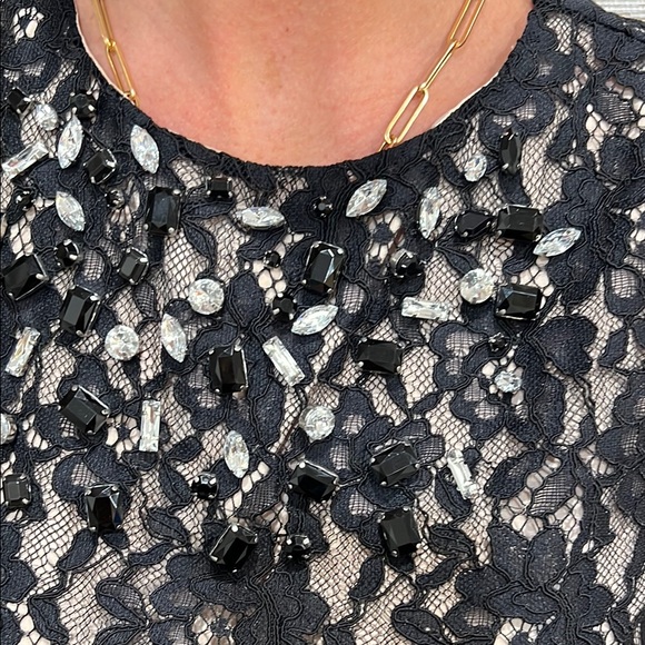 Alice and Olivia Black Lace Sleeveless Top - Picture 4 of 5